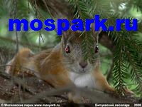 http://www.mospark.ru/images/btc11_a.jpg