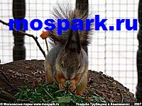 http://www.mospark.ru/images/uth23_a.jpg